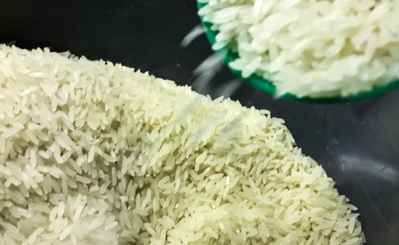 arroz_1009201522